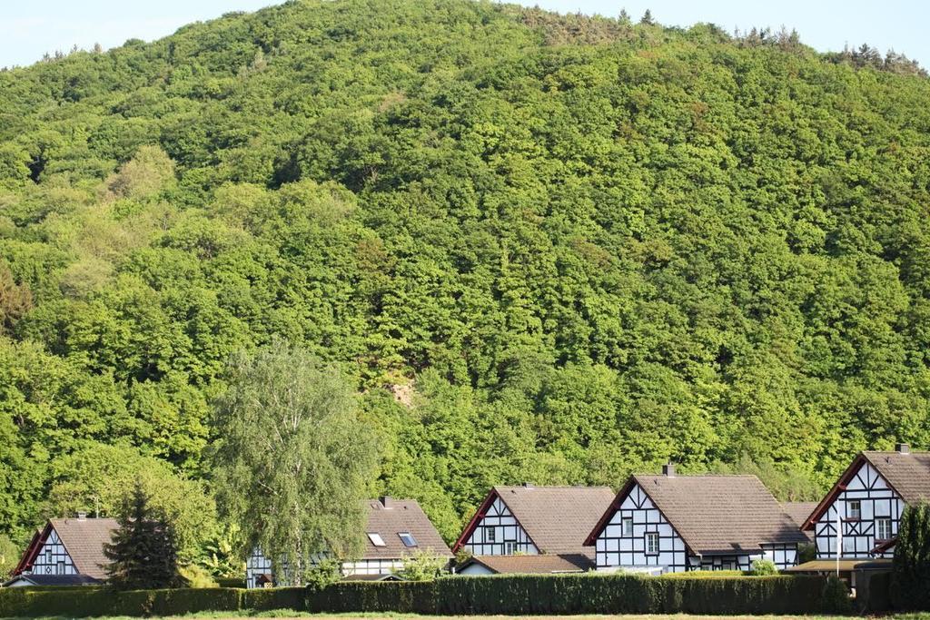Apartament Bos En Kasteel Nideggen Zewnętrze zdjęcie
